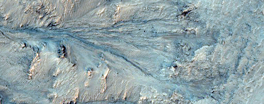 Slope Features on Crater Wall in Newton Crater