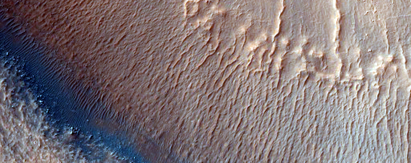 Olivine and Pyroxene-Rich Crater Wall and Ejecta in Terra Sirenum