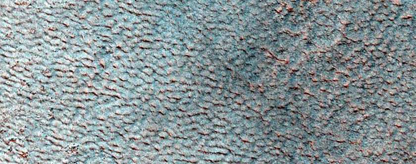 Possible Olivine-Rich Terrain in Utopia Planitia