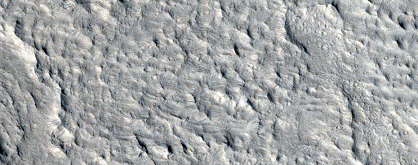 Inverted River Meanders and Possible MSL Rover Landing Site