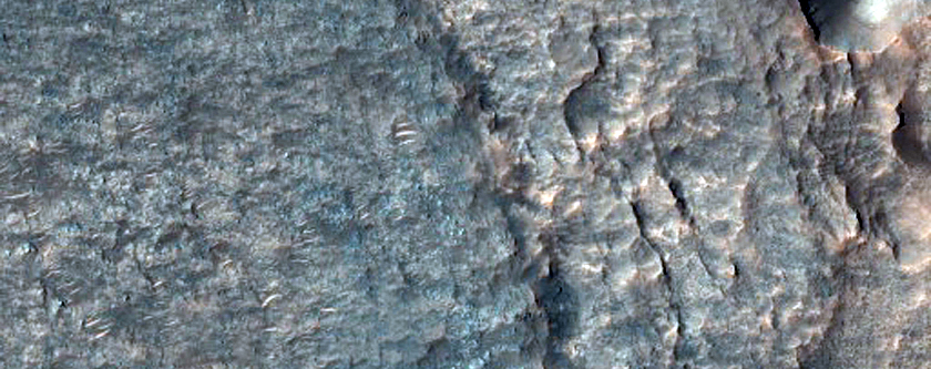 Layered Deposits and Possible MSL Rover Landing Site in Niesten Crater