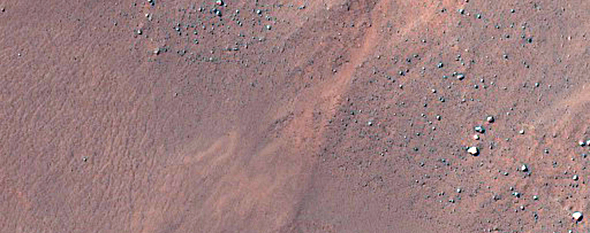 Gullied Troughs in Asimov Crater