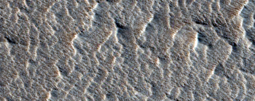 Candidate New Impact Site Formed between February 2005 and February 2008