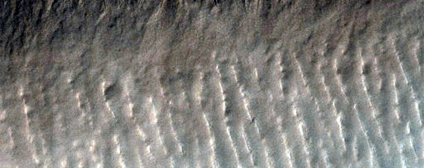 Linear Gully in Hellas Basin Region