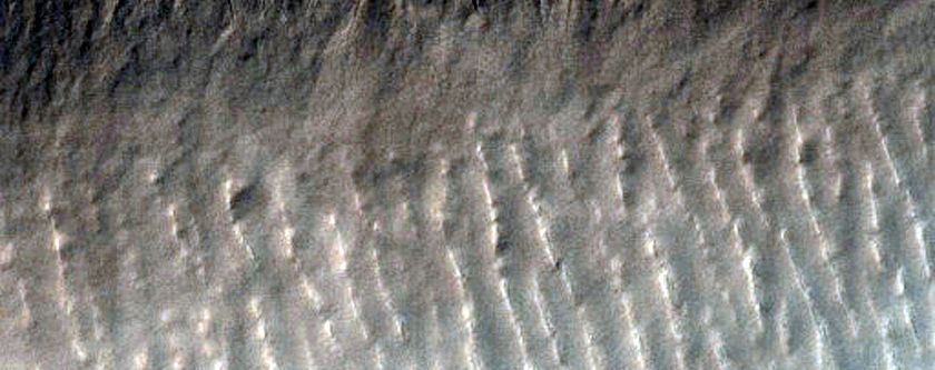 Linear Gully in Hellas Basin Region