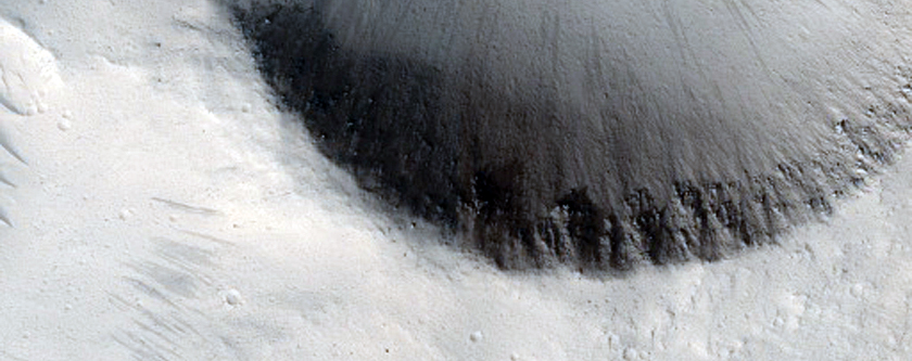 Possible Dendritic Flows in Kasei Valles