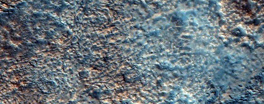 Periglacial Features in Utopia Planitia