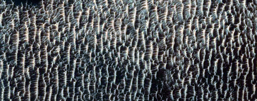 Central Structure of an Impact Crater