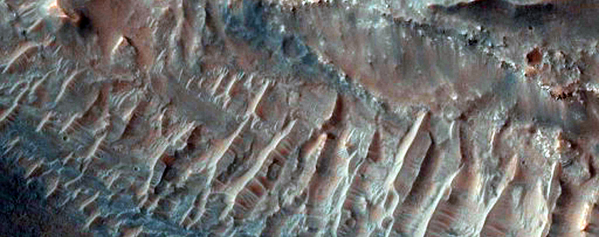 Possible Clays in Coprates Chasma Wall