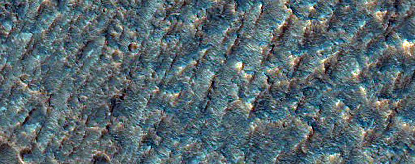 Proposed Site for Future Exploration in Columbus Crater