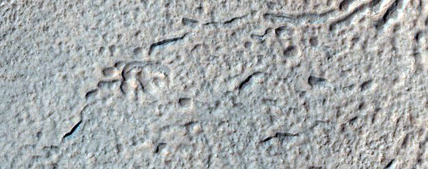 Gullied Crater Wall