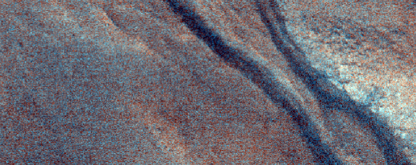Seasonal Activity in Northern Hemisphere Gullies