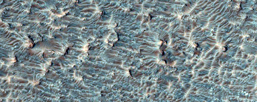 Possible Olivine in a Crater Floor