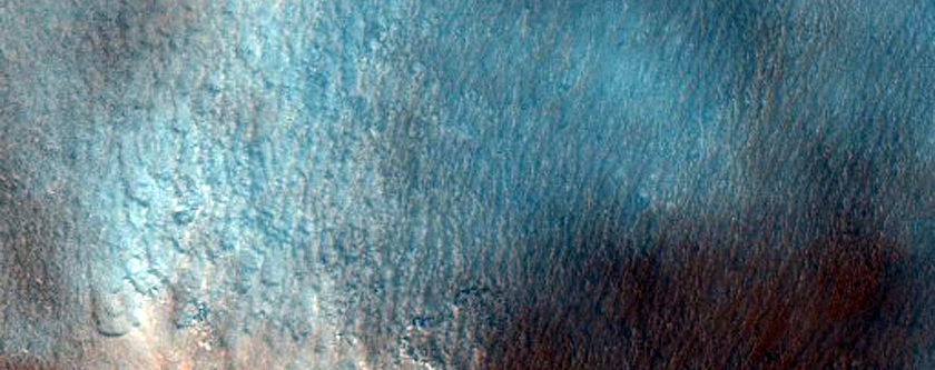 Seasonal Gully Imaging