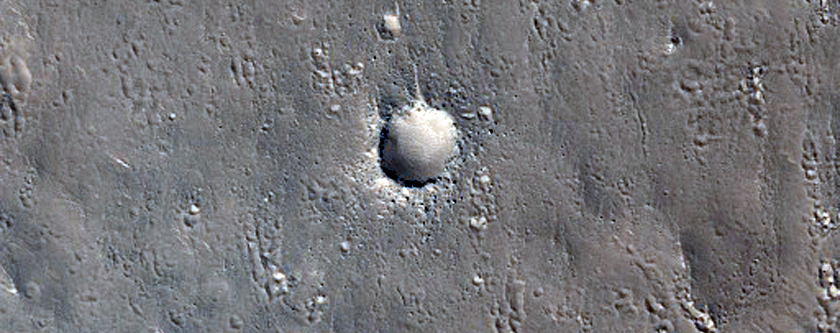 Terrain Near Tinjar Valles