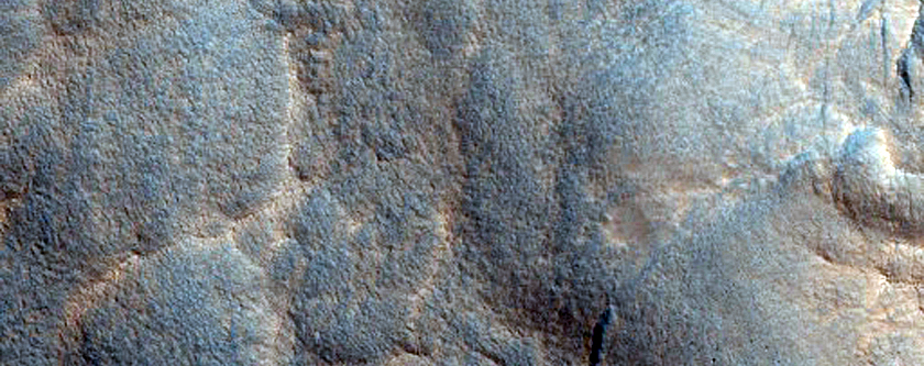 Seasonal Activity in Northern Hemisphere Gullies