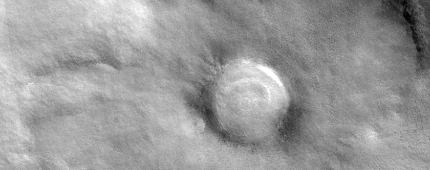 Crater and Terrain in Diacria Region