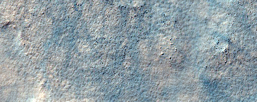 Crater with Gullied Wall in Noachis Terra