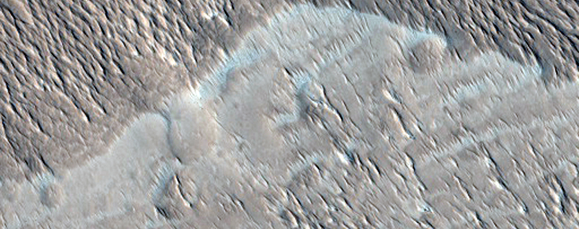 Cross Section of Surface Near Gordii Dorsum