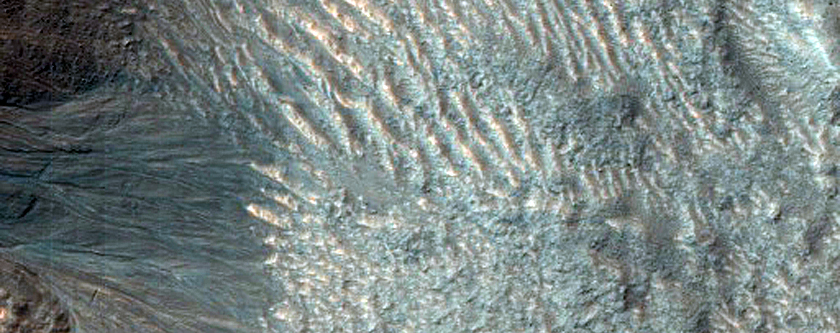 Gully Aprons in Pit in Niger Vallis