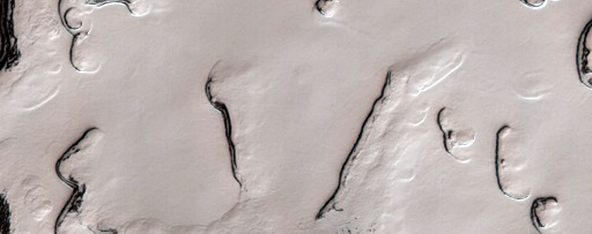 South Pole Residual Cap Monitoring Site