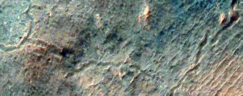 Well-Preserved Gullied Crater