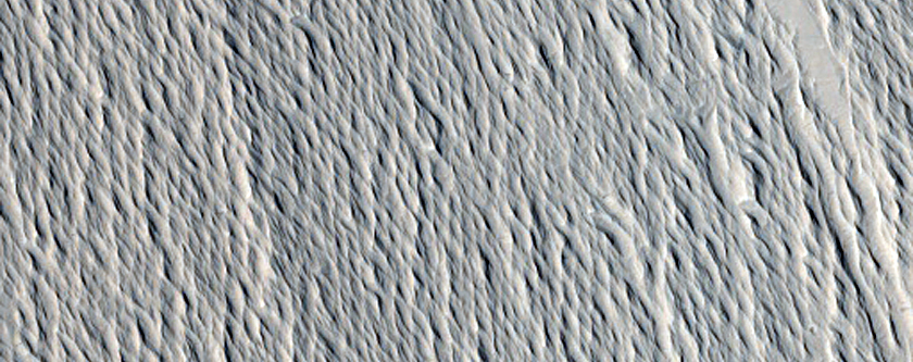 Nicholson Crater Layered Terrain