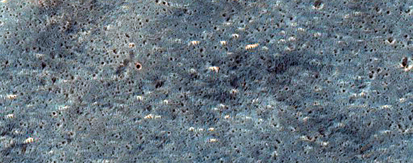 Possible Phyllosilicate-Rich Terrain on Aureum-Iani-Margaritifer Plains