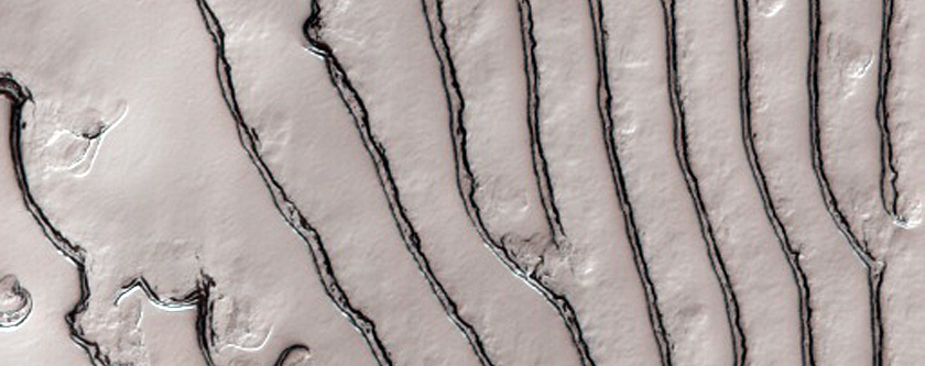 Thumbprint Terrian in South Polar Residual Cap