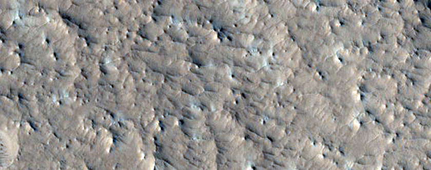 Aeolian Scour Features in Olympus Mons Aureole