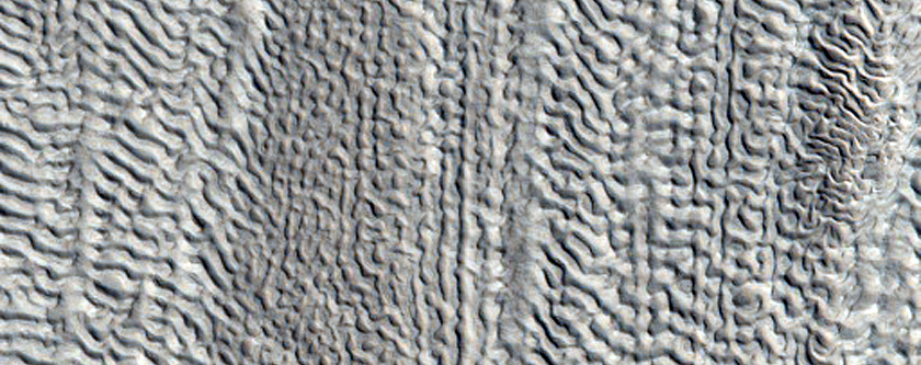 Brain Terrain between Two Mounds East of Moreux Crater