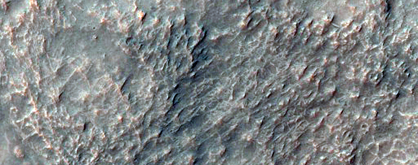 Potential Olivine-Rich Terrain in Hellas Planitia