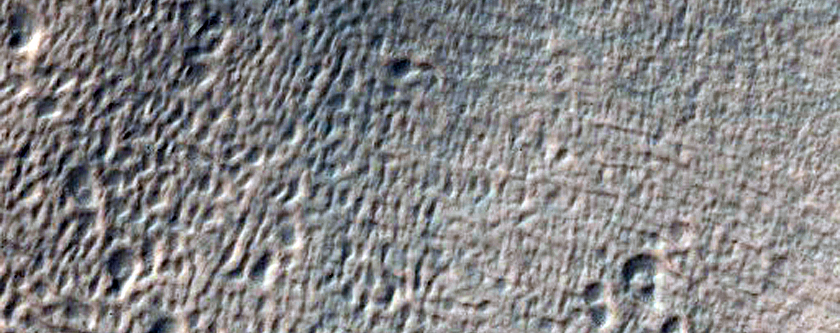 Gullies with Debris Aprons