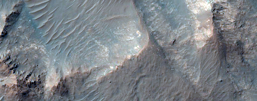Well-Preserved Gullied Crater