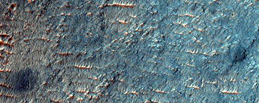 Possible Olivine-Rich Terrain on Crater Floor
