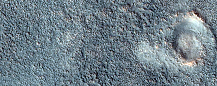 Possible Mud Volcanoes Located in Acidalia Planitia