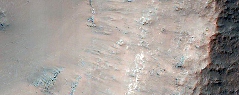Gullies in Small Crater in Terra Cimmeria