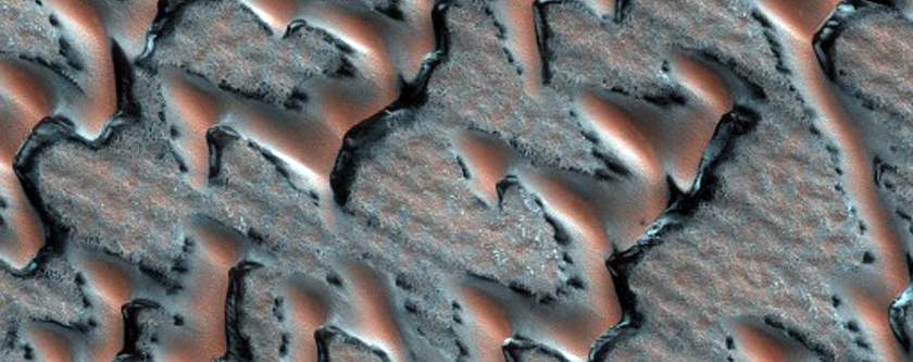 North Polar Erg South