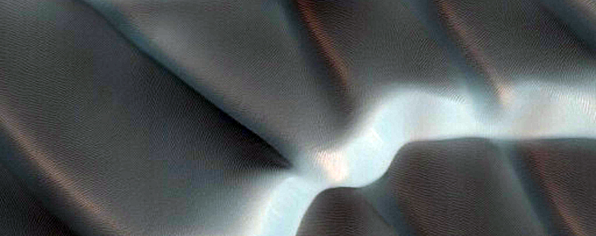 Dune Gully Monitoring