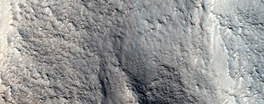 Gullies on Mound in Northern Tempe Terra