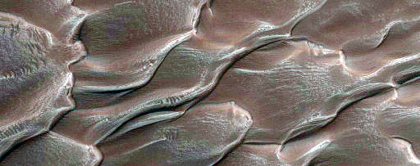 Dune Erosion