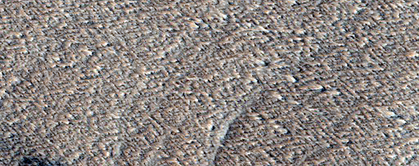 Candidate New Impact Site Formed between November 2004 and August 2010