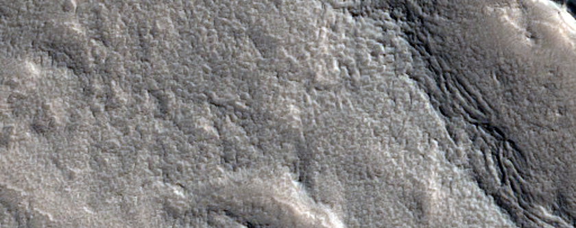 Tongue-Shaped Flow Feature in Protonilus Mensae