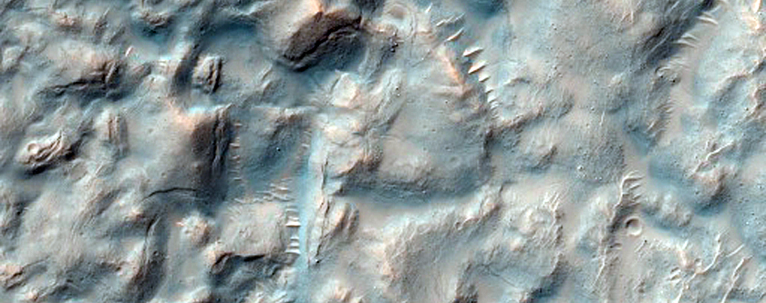 Gullied Impact Crater in Terra Cimmeria