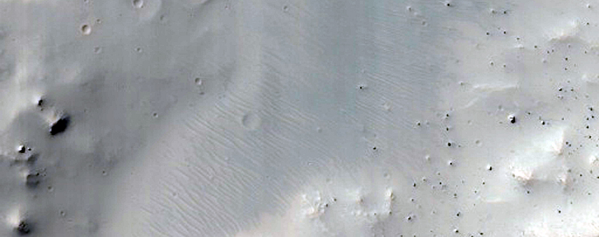 Fresh Crater