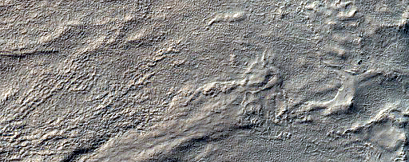 Gullied Crater Wall in Southeastern Terra Cimmeria