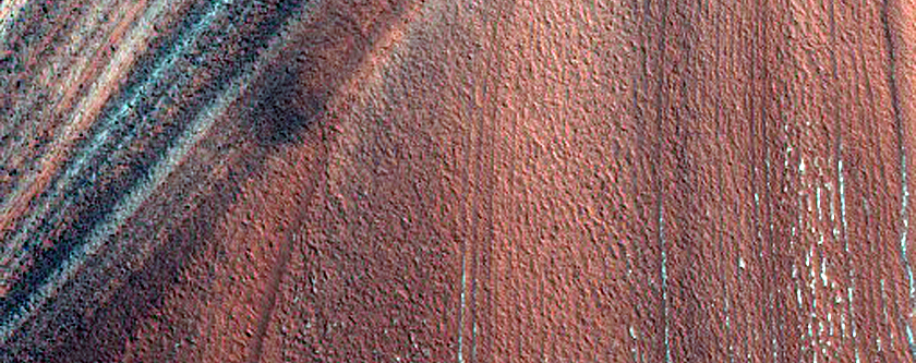 Stratigraphic Section of Chasma Boreale Scarp