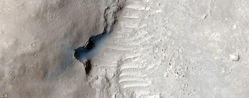 Landslides on Flat Topography in Elysium Planitia