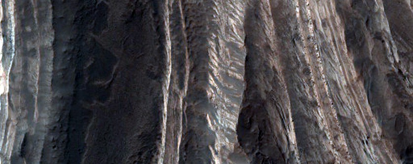 Estratos en el Cráter Terby