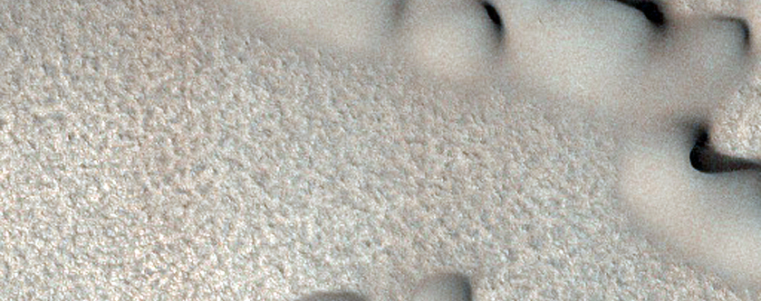 Frost-Covered Dunes in the North Polar Region